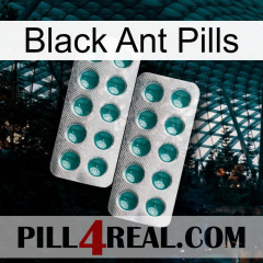 Black Ant Pills dapoxetine2